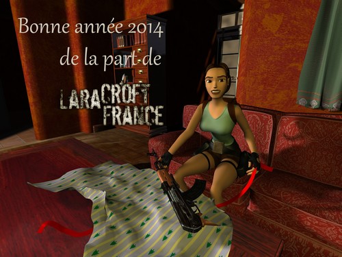 News_Bonne_annee_2014 (500)